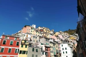 Florens till Cinque Terre: Tur och returresa med guide
