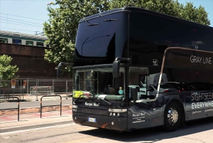 Tour de medio día de Florencia a Pisa y entrada a la icónica torre inclinada