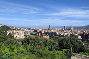 Firenze: Accademia, katedralen og spasertur med lunsj