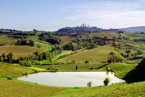 Von Florenz aus: Siena, S. Gimignano, Chianti Kleingruppentour
