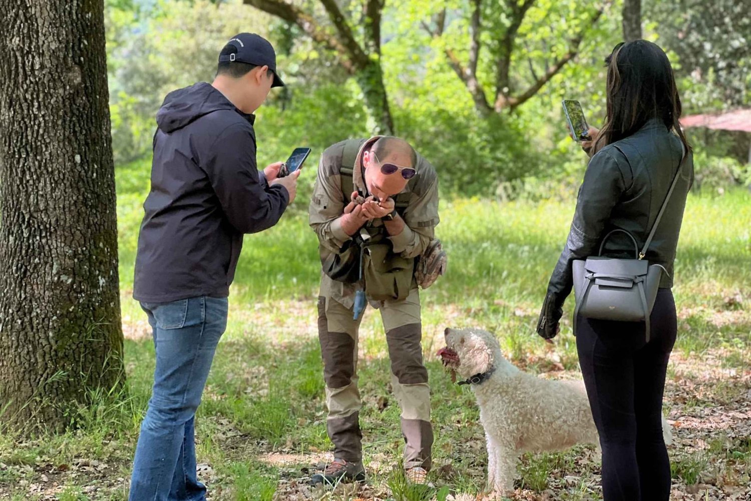 Firenze: caccia al tartufo, San Gimignano ed escursione nel Chianti