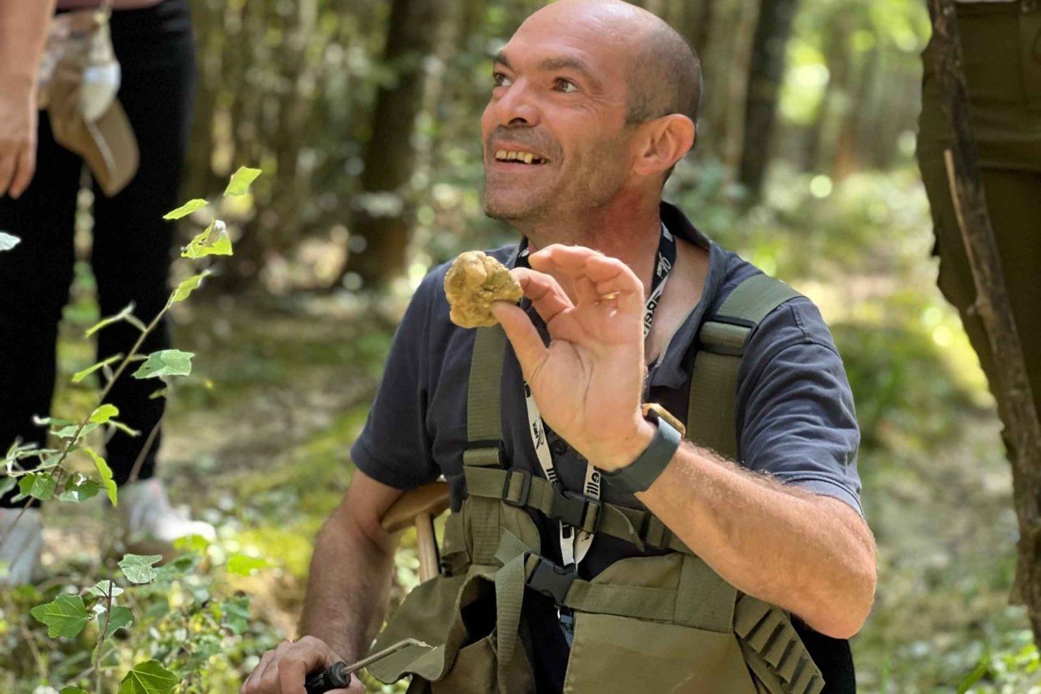 Firenze: caccia al tartufo, San Gimignano ed escursione nel Chianti