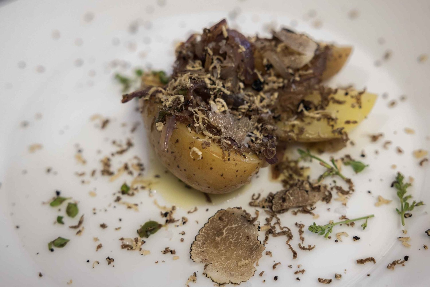 Florença: caça às trufas com degustação de pratos gourmet