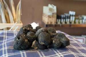 Truffle Hunting and Vinci with Lunch and Winery
