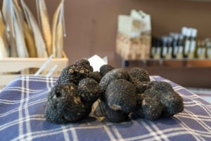 Firenze: Trøffeljagt og Vinci med frokost og vingård