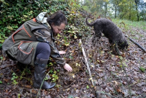 Firenze: Trøffeljakt, lunsj og vinsmaking