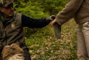 Florence: Truffle Hunting Tour with Lunch