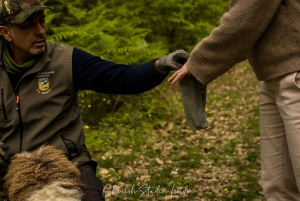 Florenz: Trüffeljagd mit Mittagessen