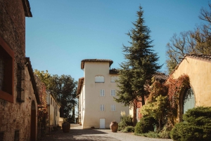 Florenz: Trüffeljagd mit Mittagessen, Wein & San Gimignano