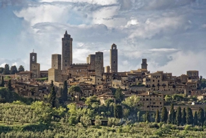 Florenz: Trüffeljagd mit Mittagessen, Wein & San Gimignano