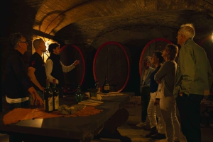 Florença: Caça às trufas e almoço, degustação de vinhos e San Gimignano