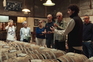 Florença: Caça às trufas e almoço, degustação de vinhos e San Gimignano