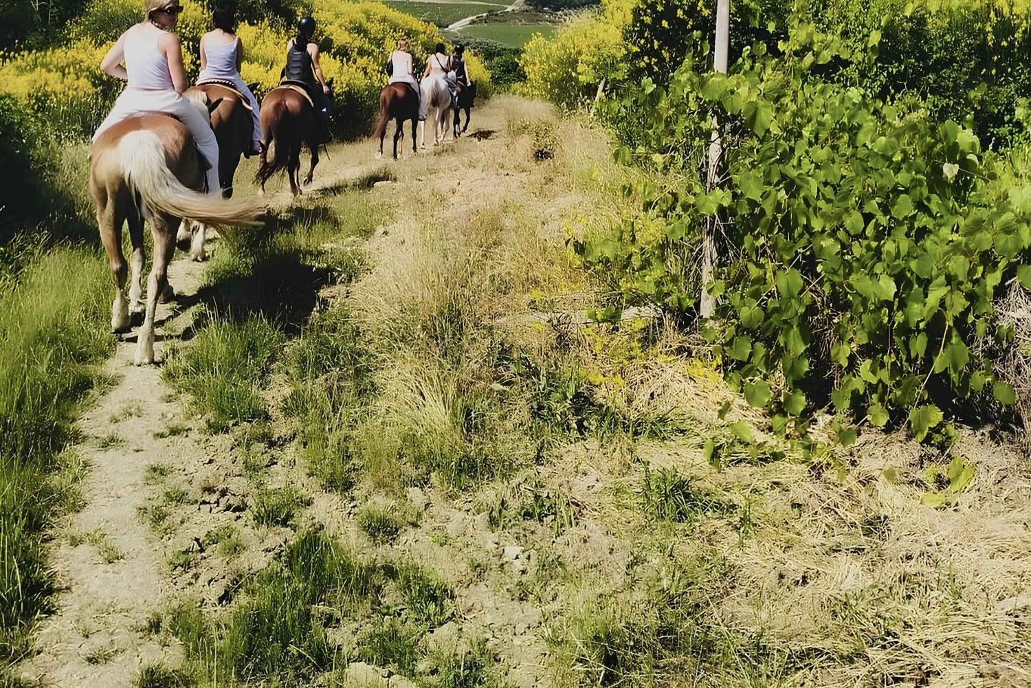 Florenz: Ausritt durch die toskanische Landschaft
