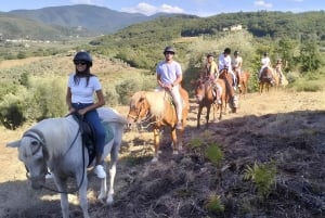 Florens: Ridtur på den toskanska landsbygden