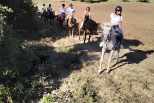 Florens: Ridtur på den toskanska landsbygden