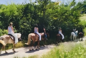 Florens: Ridtur på den toskanska landsbygden