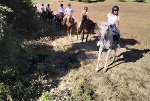 Florenz: Ausritt durch die toskanische Landschaft
