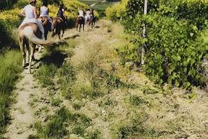 Florenz: Ausritt durch die toskanische Landschaft
