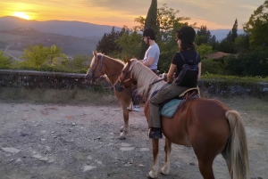 Florenz: Ausritt durch die toskanische Landschaft