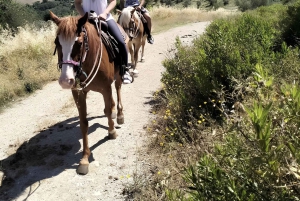 Florenz: Ausritt durch die toskanische Landschaft
