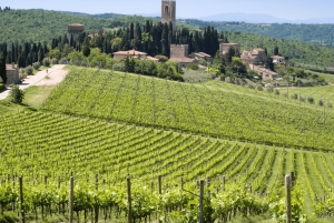 Florens, Florens: Toscana Dagsutflykt Siena San Gimignano, Pisa,