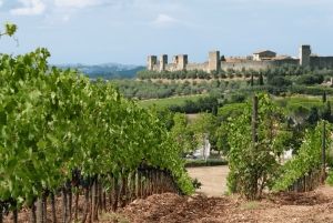 Florens, Florens: Toscana Dagsutflykt Siena San Gimignano, Pisa,