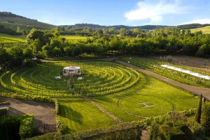 Florence: Tuscan Dinner, Wine Tasting with Private Transfer