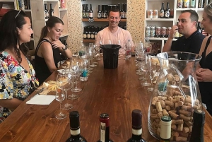Florence: Tuscan Wine Tasting Workshop