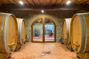 Florence: Tuscany & Chianti Classico Trek & Wine with Lunch