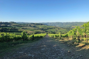 Florence: Tuscany & Chianti Classico Trek & Wine with Lunch