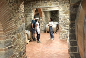 Florence: Tuscany & Chianti Classico Trek & Wine with Lunch