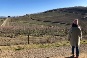 Florence: Tuscany & Chianti Classico Trek & Wine with Lunch