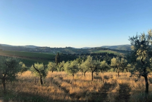 Florence: Tuscany & Chianti Classico Trek & Wine with Lunch