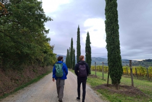 Florence: Tuscany & Chianti Classico Trek & Wine with Lunch