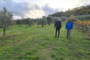 Florence: Tuscany & Chianti Classico Trek & Wine with Lunch