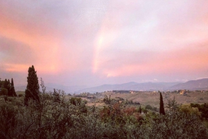 Florence: Tuscany & Chianti Classico Trek & Wine with Lunch