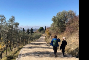 Florence: Tuscany & Chianti Classico Trek & Wine with Lunch