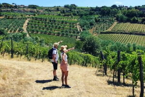 Florence: Tuscany & Chianti Classico Trek & Wine with Lunch