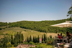 Florence: Tuscany Chianti Winery Private Day-Trip with Lunch