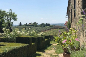 Florence: Tuscany Chianti Winery Private Day-Trip with Lunch