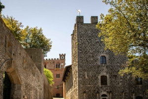 Florence: Tuscany Chianti Winery Private Day-Trip with Lunch