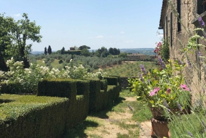 Florence: Tuscany Chianti Winery Private Day-Trip with Lunch