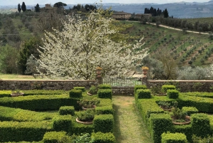 Florence: Tuscany Chianti Winery Private Day-Trip with Lunch