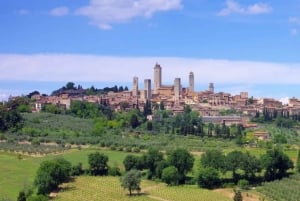 Excursion d'une journée à Florence et en Toscane au départ de Rome avec vin et déjeuner