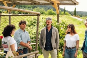 Firenze ja Toscana -päiväretki Roomasta viinin ja lounaan kera