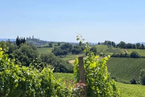 Firenze ja Toscana -päiväretki Roomasta viinin ja lounaan kera