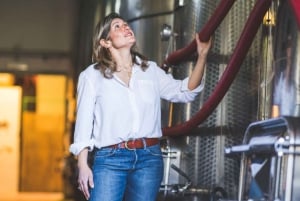 Firenze ja Toscana -päiväretki Roomasta viinin ja lounaan kera