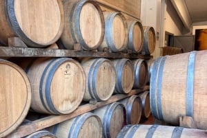 Firenze ja Toscana -päiväretki Roomasta viinin ja lounaan kera