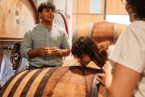 Firenze ja Toscana -päiväretki Roomasta viinin ja lounaan kera