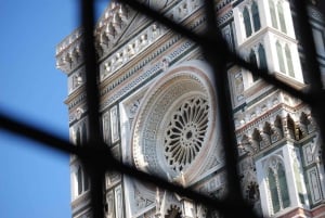 Firenze-kombituren: Byvandring med Uffizi og Accademia